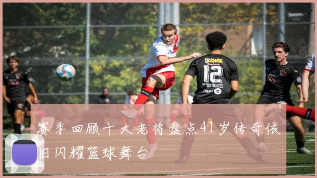 赛季回顾十大老将盘点41岁传奇依旧闪耀篮球舞台